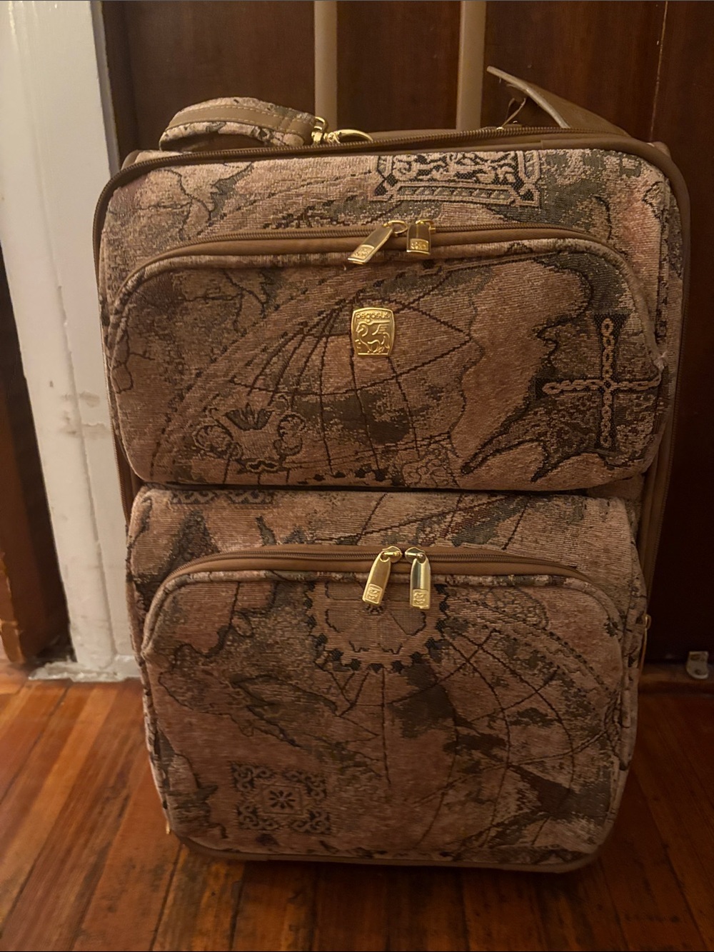 Pegasus Brown Patterned Travel Carry-On Bag for Women